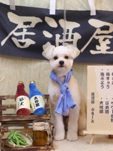 20240620ヌンくん